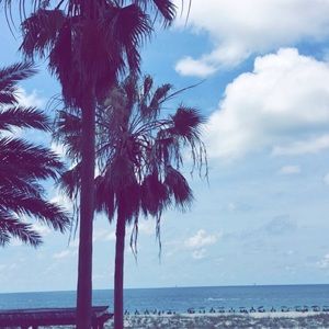 Meet your Posher, Molly